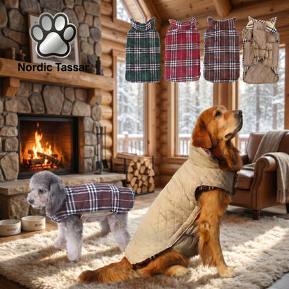 Golden Retriever and a Poodle wearing stylish tartan-patterned and quilted dog coats, sitting in a cozy cabin by a fireplace.