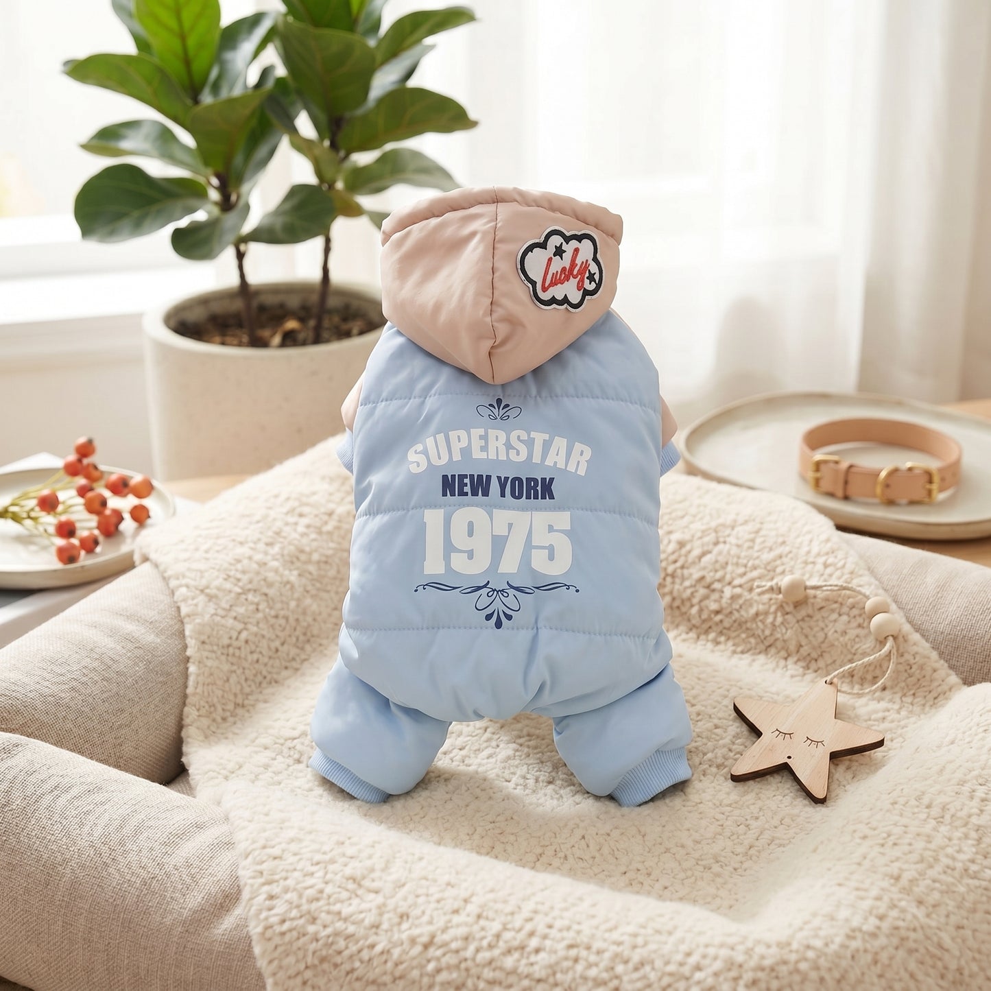 CozyCloud Full-Body blue dog jumpsuit with a hood and 'Superstar New York 1975' text, displayed on a textured armchair with a star-shaped ornament.