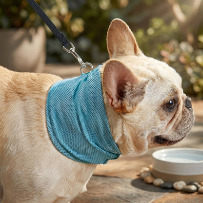 Arctic Chill blue dog cooling bandana scarf with built-in leash attachment ring, worn by a French bulldog next to a water bowl.