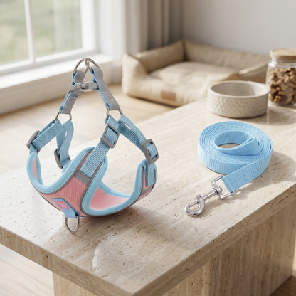 Reflex Duo pink and blue anti-breakaway dog harness with integrated high-visibility reflective strips worn by a small dog indoors.