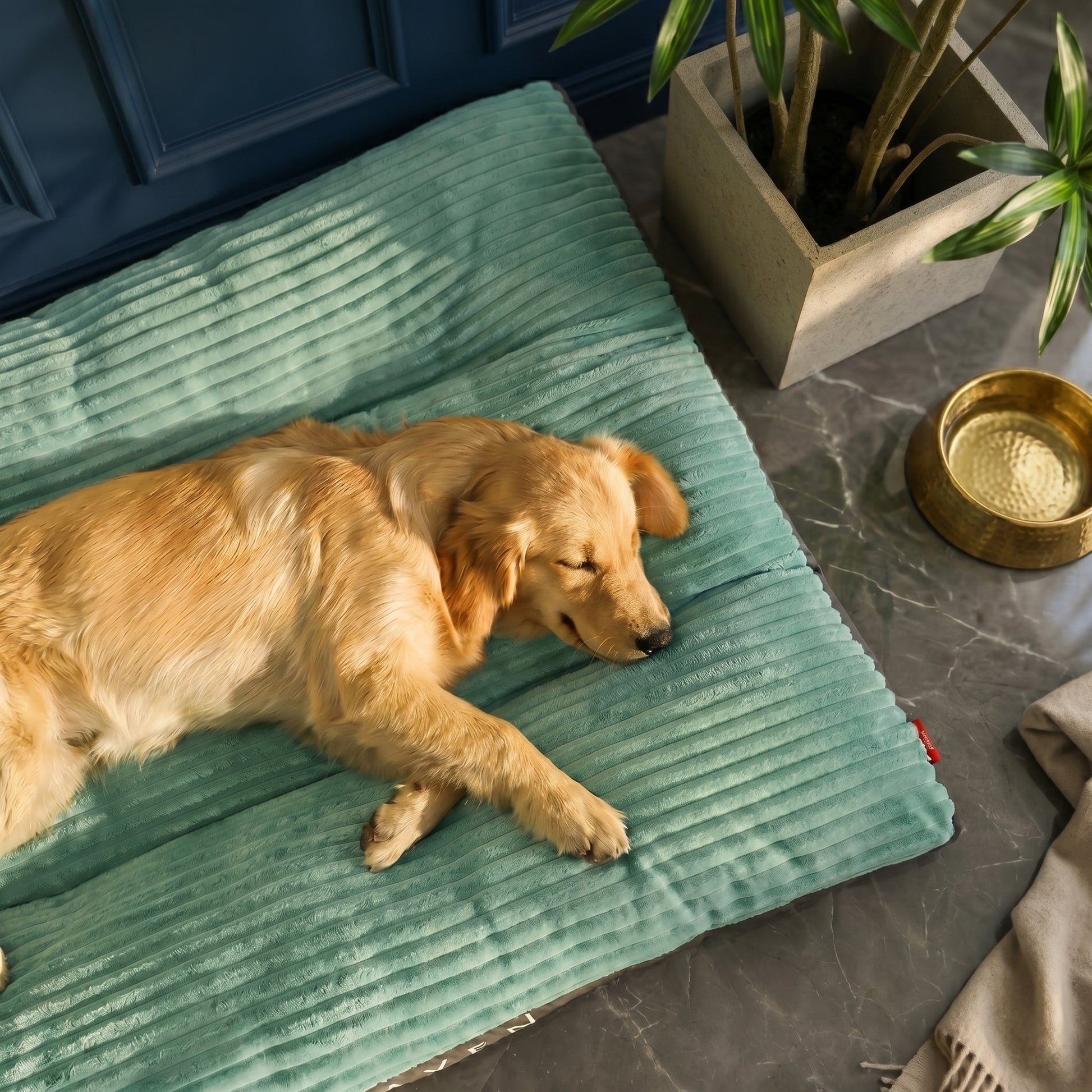 A golden retriever puppy sleeping peacefully on a green Nordic Slumber washable removable bed.