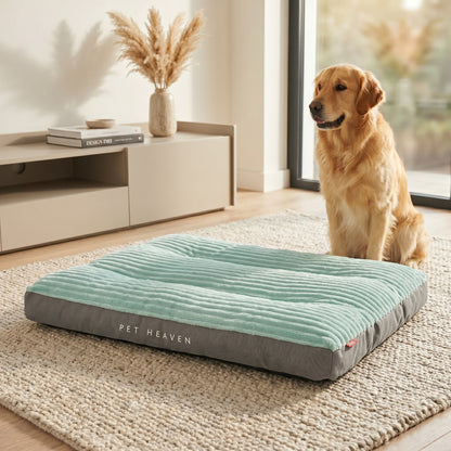 A golden retriever sitting upright on a green Nordic Slumber washable removable bed in a cozy living room setting.