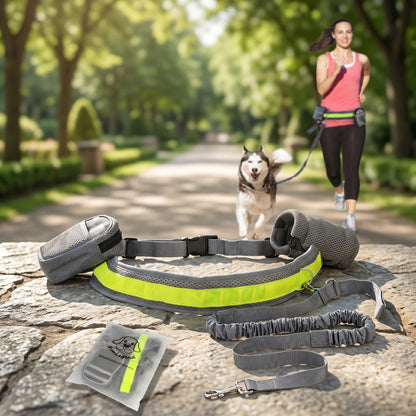 Grey Nordic Stride hands-free shockproof running belt set displayed on a stone surface with a person running with a dog in the background.