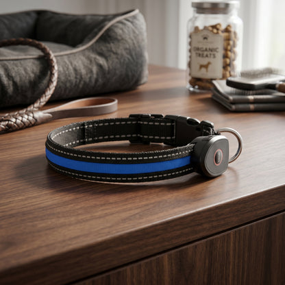 A black and blue dog collar with a reflective strip displayed on a wooden cabinet next to a jar of organic treats.