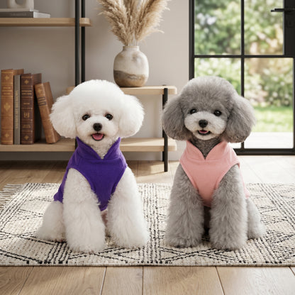 White and grey Poodle dogs wearing purple and pink fleece sweaters, sitting on a rug in front of a bookshelf.