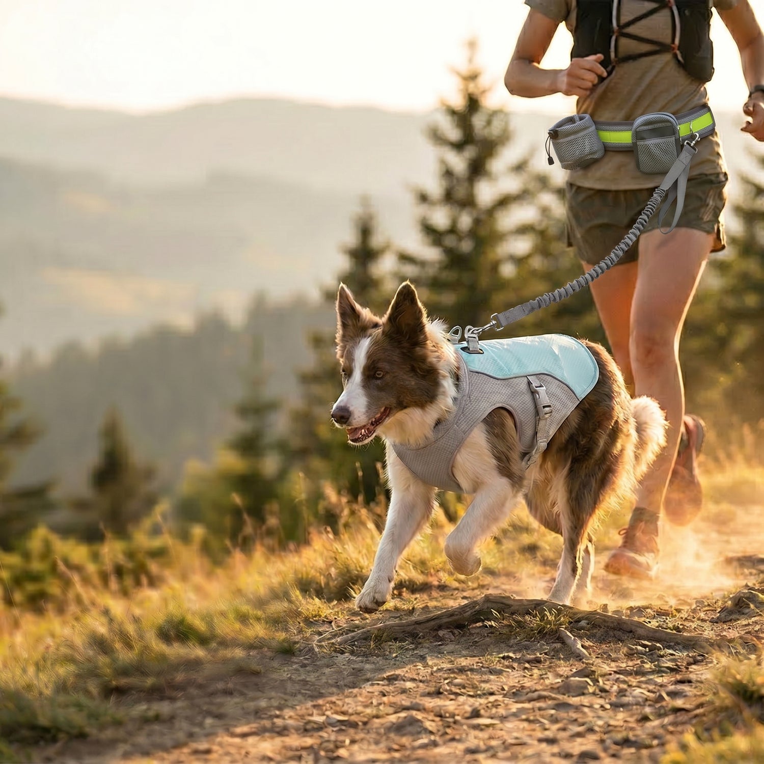 Active dog wearing a cooling vest running alongside its owner on a mountain trail during golden hour outdoor exercise.
