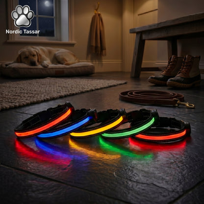 Five illuminated LED dog collars in red, blue, yellow, and green arranged on a dark floor, with a dog resting on a bed in the background and a Nordic Tassar logo.