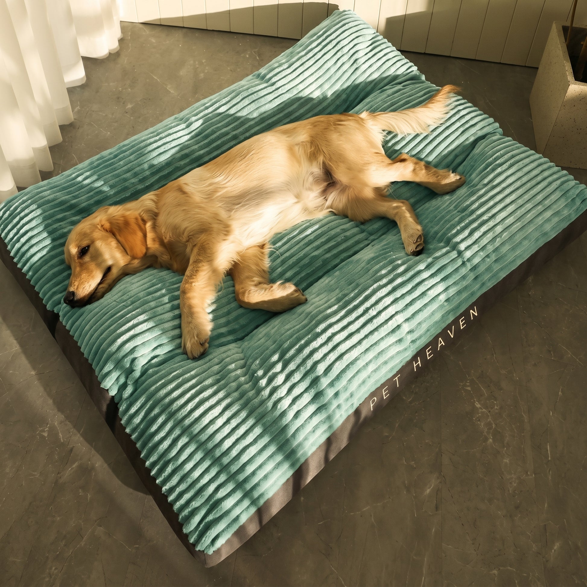 A golden retriever puppy sleeping peacefully on a green Nordic Slumber washable removable bed, branded "Pet Heaven".