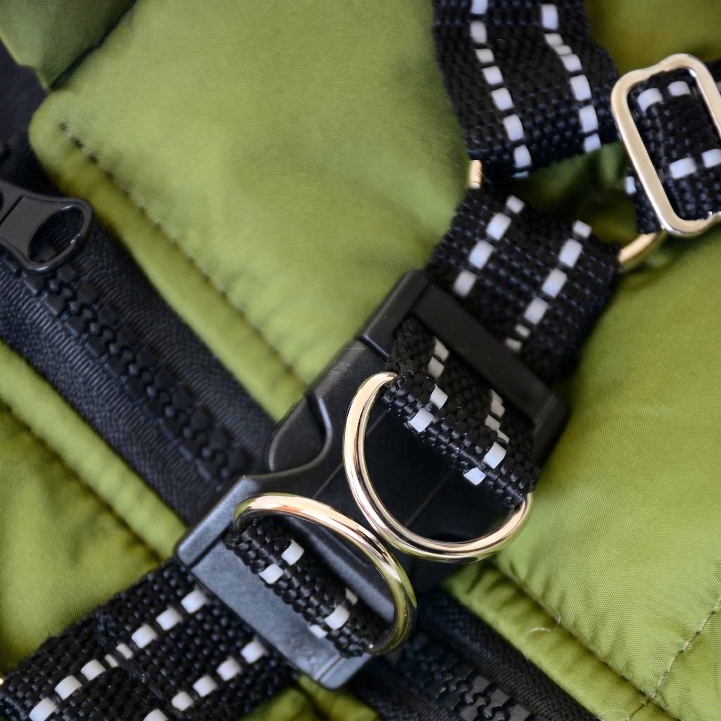 Close-up detail of the durable buckle and reflective webbing on a green PufferGuard Reflex dog coat.