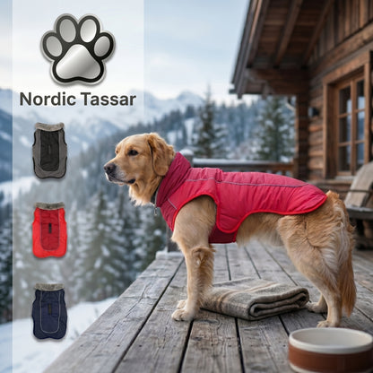 Golden Retriever wearing a vibrant red winter dog jacket, standing on a deck with a snowy mountain background.